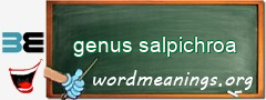 WordMeaning blackboard for genus salpichroa